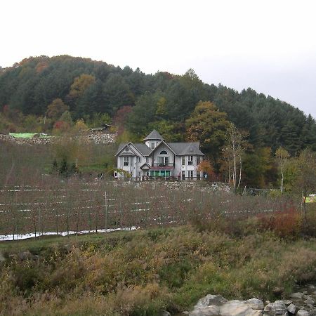 Happy Dream Pension Pyeongchang Esterno foto