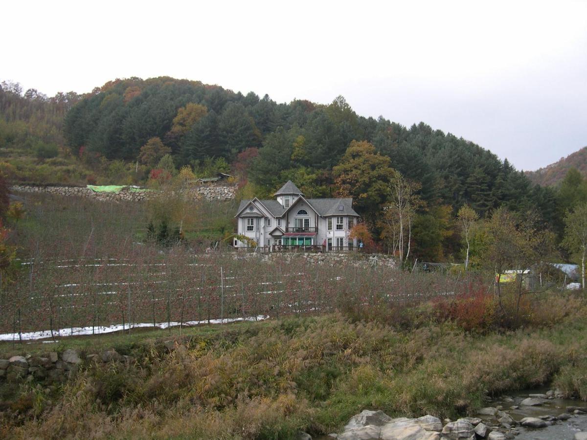 Happy Dream Pension Pyeongchang Esterno foto